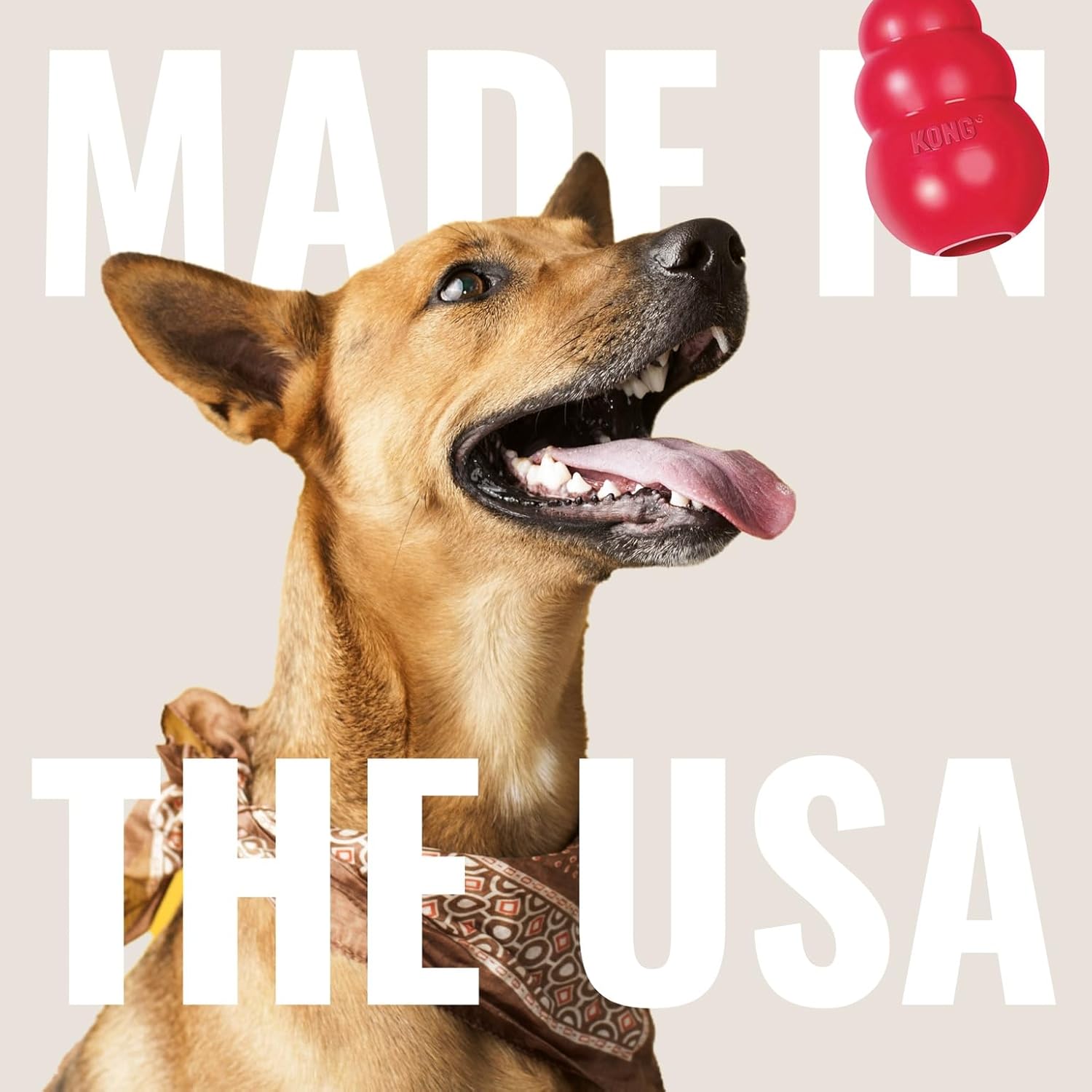 KONG Ring - Natural Rubber Ring Toy for Healthy Chewing Habits - Chew Toy Supports Dog Dental Health - Dog Toy Supports Instincts During Playtime - for Small/Medium Dogs