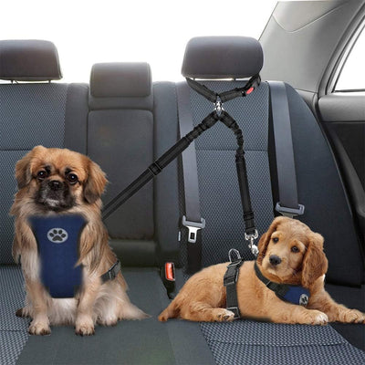 Double Dog Seat Belt, New Dual Pet Car Headrest Restraint Safety Seatbelt No Tangle Dog Leash Duty Adjust Elastic Bungee Puppy Lead Splitter Connect Harness in Vehicle Travel for 2 Dogs