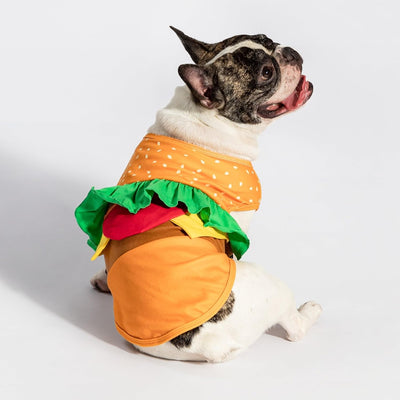 Fitwarm Halloween Dog Hamburger Costume, Funny Clothes for Small Dogs Boy Girl, Pet Fast Food Outfit, Orange, Large