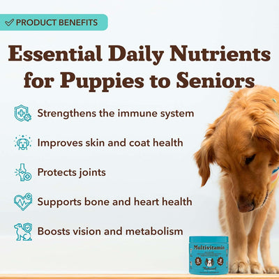 Natural Dog Company Multivitamin Chews (90 Pieces), Dog Vitamins and Supplements, Peanut Butter & Bacon Flavor, for Dogs of All Ages, Sizes, & Breeds, Supports Immune System, Antioxidant