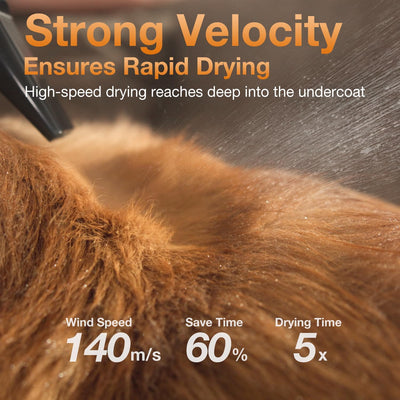 Dog Hair Blower Dryer,Negative Ion Grooming Pet Dryer,Brushless Motor,High-Velocity Force,40 dB Noise Level,Dog Hair Dryer with 3 Nozzles & Adjustable Speed & 3 Temperature for Dog & Cat
