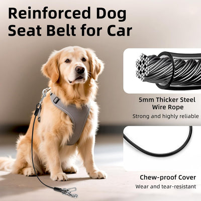 Dog Seat Belt for Car, 24" Chew-Proof Coated Wire Dog Car Leash Seat Belt, Dog Leash with Buckles and Latch, Safety Harness for Small, Medium, Large Dog or Cat, Travel, Black, 2 Pack