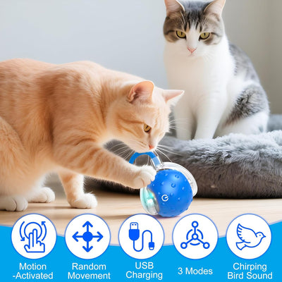 2Pcs Tiny Fetch Dog Toy, Tinyfetch Interactive Dog Cat Toys Balls with Birdsong, Rechargeable 360° Smart Automatic Rolling Electric Dog Ball Toy with Rope for Pets Indoor & Outdoor Play (Red+Blue)