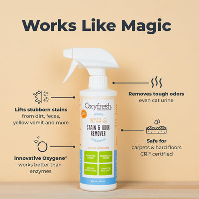 Oxyfresh Eliminador avanzado de manchas y olores de orina para mascotas, eliminador de olores de mascotas de acción rápida para todas las superficies, la mejor manera de eliminar manchas,