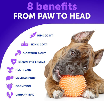 20 in 1 Dog Multivitamin with Glucosamine - Chewable Dog Vitamins and Supplements - Senior & Puppy Multivitamin Chews for Pet Hip & Joint Support, Immunity, Mobility, Skin, Digestion - 70 Soft Treats