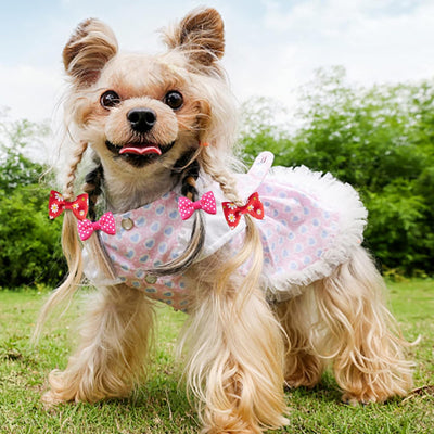 【30 Pcs】 15 Pairs Dog Bows, Cute Puppy Hair Bows with Rubber Bands, Multi-colored Handmade Pet Grooming Bows Hair Accessories for Small Dogs