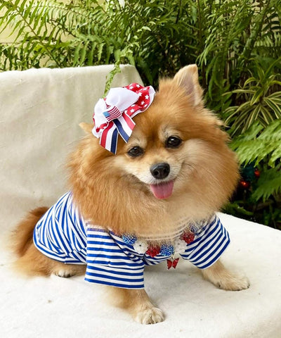 DroolingDog 3 Packs Striped Dog Shirts for Small Dog Girls Boys Dog Clothes Striped Puppy T Shirts Pet Tee Shirt for Dogs, Small, Pack of 3