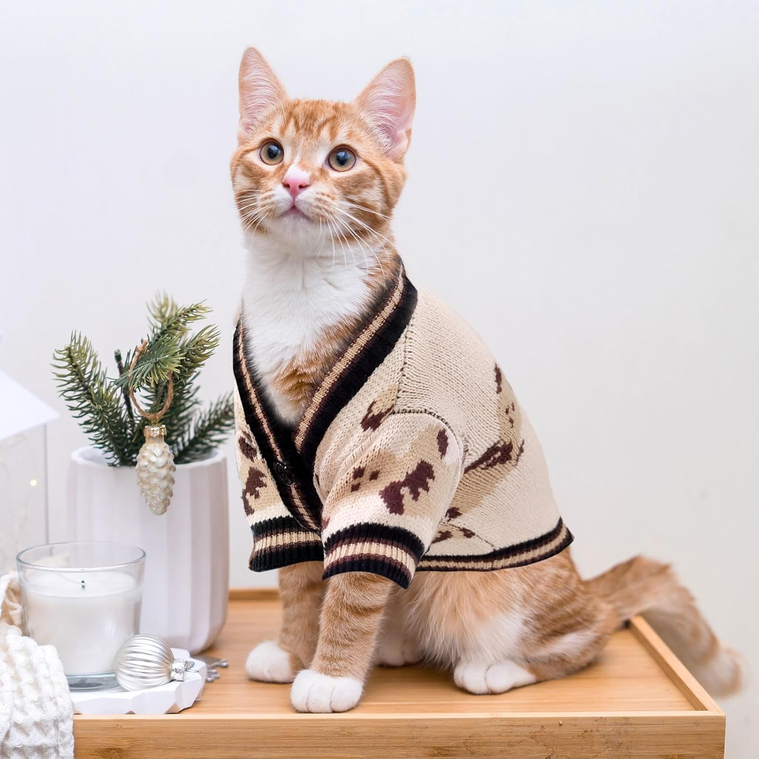 Small Dog Sweaters Cute Bear Dog Cardigans Clothes for Small Medium Dogs Boy Girl Puppy Cat Knitting Cardigan Outfits Dogs Winter Coats Warm Pet Doggy Clothes Soft Knitwear Apparel (Beige,XS)