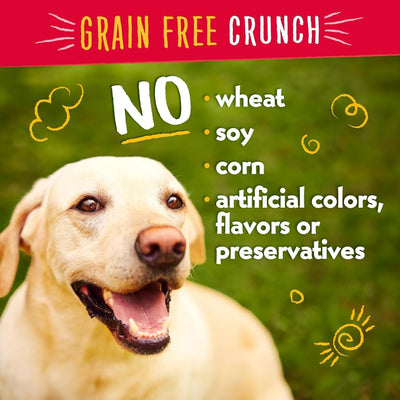Charlee Bear Dog Training Treats for Small, Medium & Large Breeds, Crunchy Low Calorie Grain Free Dog Treats, USA Made, Chicken, Pumpkin & Apple, 2 Pack, 8oz Each