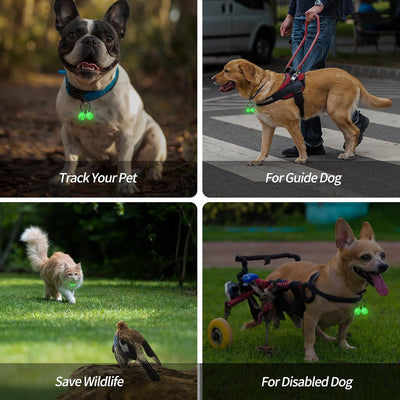 Bells for Dog Collar, Extra Loud Dog Cat Glow Bell for Pet Tracking & Saving Wildlife, Birds, Durable Copper Bells