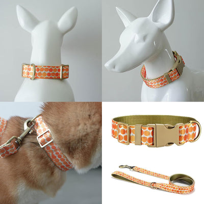 Leash Lead，Dog Leash Slip Harness Collar with Lovely Pumpkin Collar Rope 4ft Long Pet Strong Training Walking Swimming Hiking