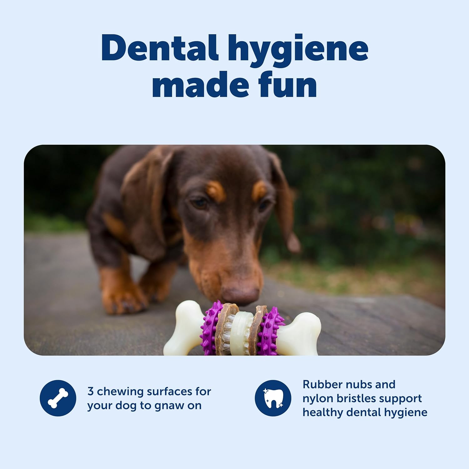 PetSafe® Busy Buddy® Bristle Bone®, Medium, Helps Keep Your Dog's Teeth Clean, Long-Lasting Playtime