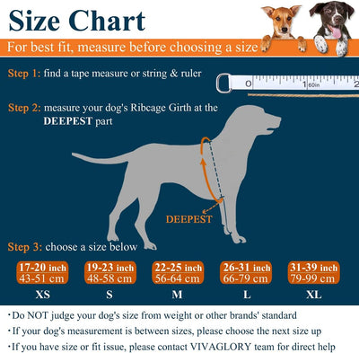 VIVAGLORY Sports Style Dog Life Vest, Dog Life Jacket for Swimming & Boating, Ripstop & Buoyancy for Puppy Doggy, Lifejacket with Handle, L, Blue