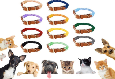 Cotton Woven Dog Collar Comfortable Soft for Small Dogs Sturdy Design for Everyday Walks and Outdoor Activities