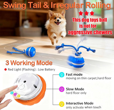2Paks Interactive Dog Toys，Peppy Pet Ball for Dogs，Motion Activate Rolling Ball for Puppy/Medium Dogs，Active Rolling Dog Bal l Wicked Bal l for Daily Training, Dog Toys to Keep Them Busy(Blue&orange)