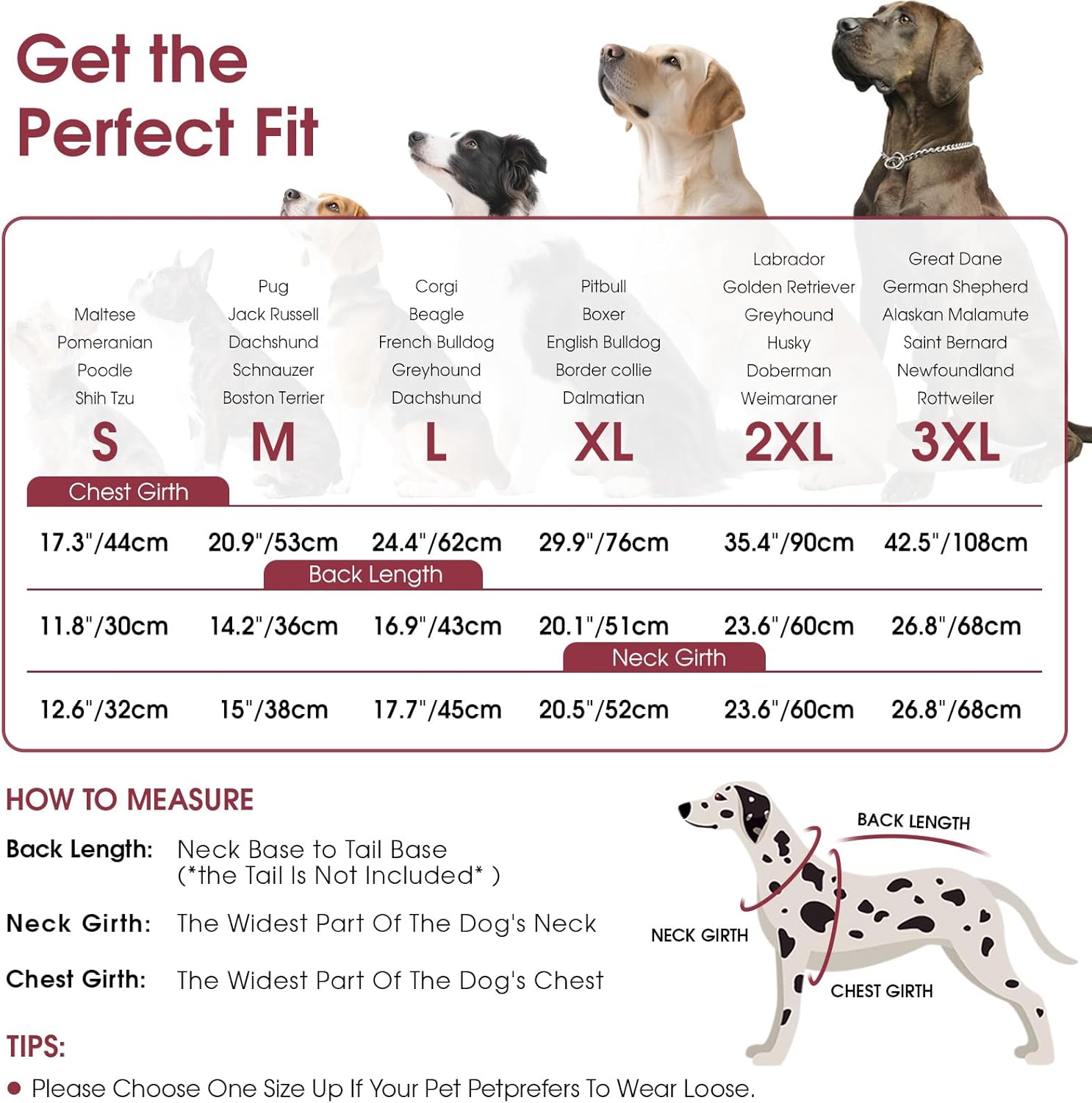 Queenmore Dog Coat, Dog Coats for Small Dogs, Doggy Winter Jacket with Zipper On Back, Waterproof Pet Jacket with Harness Built in, Pet Puffer Coat for Bichon, Schnauzer, Yorkie, Burgundy S