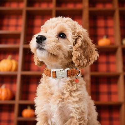 Maca Bates Fall Plaid Basic Dog Collar,Pumpkin Charm,Small Girl,Boy,Autumn Brown Gingham Puppy Collars Halloween Checkered Print,Adjustable Durable Soft for Male Female Dogs with Safety Buckle