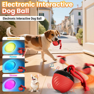 Yilia Interactive Dog Toys Ball, 2025 Smart Pet Puppy Ball with Ropes, Random Path Electric Automatic Moving and Rolling Dogs Toy, for Small Medium Large Dogs Daily Training (Bule)