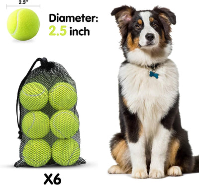 Dog Tennis Balls，6 Pack 2.5 Inch Dogs Toy Balls, Interactive Pet Toy Balls Can be Used with Dog Ball Launcher for Outdoor Playing, Fetching and Training of Medium，Large Breeds (Yellow)