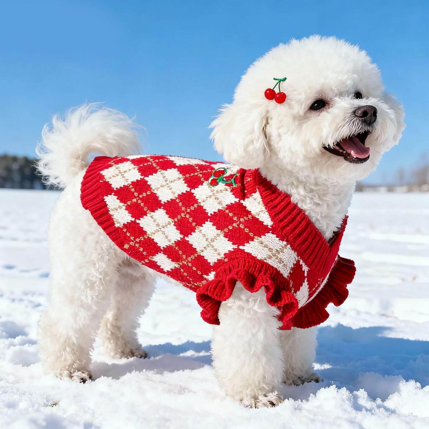 BAEJMJK Cute Cherry Small Dog Sweater Soft Girl Dog Clothes Turtleneck Warm Pet Puppy Knitted Pullover Princess Dogs Cats Outfits(Red Cherry A,X-Small)