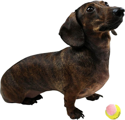 Midlee X-Small Dog Tennis Balls 1.5" Pack of 12- Puppy Mini Fetch Pet Little Tennis Balls -Yellow/Pink