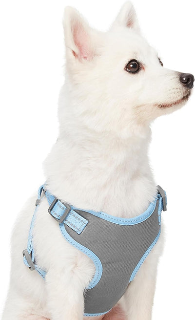 Blueberry Pet Dog Harness and Seat Belt Set - Reflective Baby Blue - Adjustable Dog Collar, Dog Leash, Dog Seat Belt for Car - Eco-Friendly, Durable for Medium to Large Dogs
