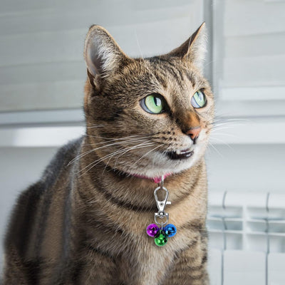 Cat Collar Bells Loud Dog Bell Training Charm Pendants for Pet Puppy Kitty Necklace Collar
