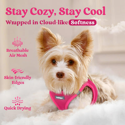 rabbitgoo Small Dog Harness, Step-in Soft Mesh Puppy Vest with Safety Buckle, Breathable Reflective Pet Harness for Small Sized Dogs, Rose Red S
