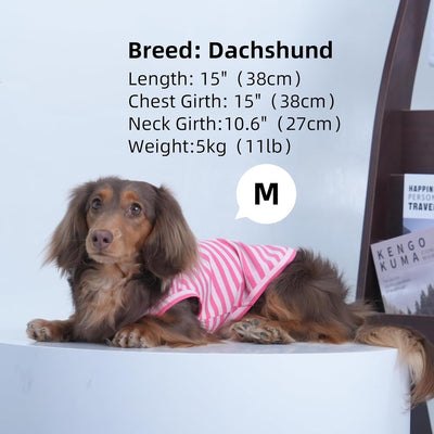 3 Pack Pink Striped Dog T Shirt for Small Dogs,Medium Sleeveless Dachshund Tee for Rainy Weather,Keep Body Heat After Runing,Lightweight Shirt Grass Protection Skin(Pink,M)