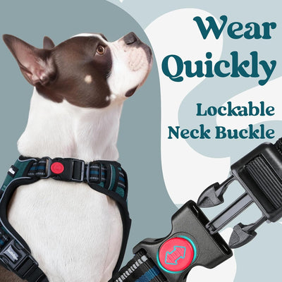 rabbitgoo Dog Harness for Large, No Pull Pet Harness with 3 Buckles, Adjustable Soft Padded Pooch Vest with Instant Control Handle, Easy Walking Reflective Pet Vest for Large Dogs, Blue Coral, L