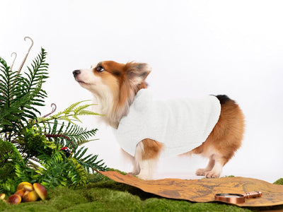 Haloumoning Pet Dog Clothes Cute Bear Fleece Hoodie Winter Puppy Sweater Soft Thickening Warm Outerwear for Dogs