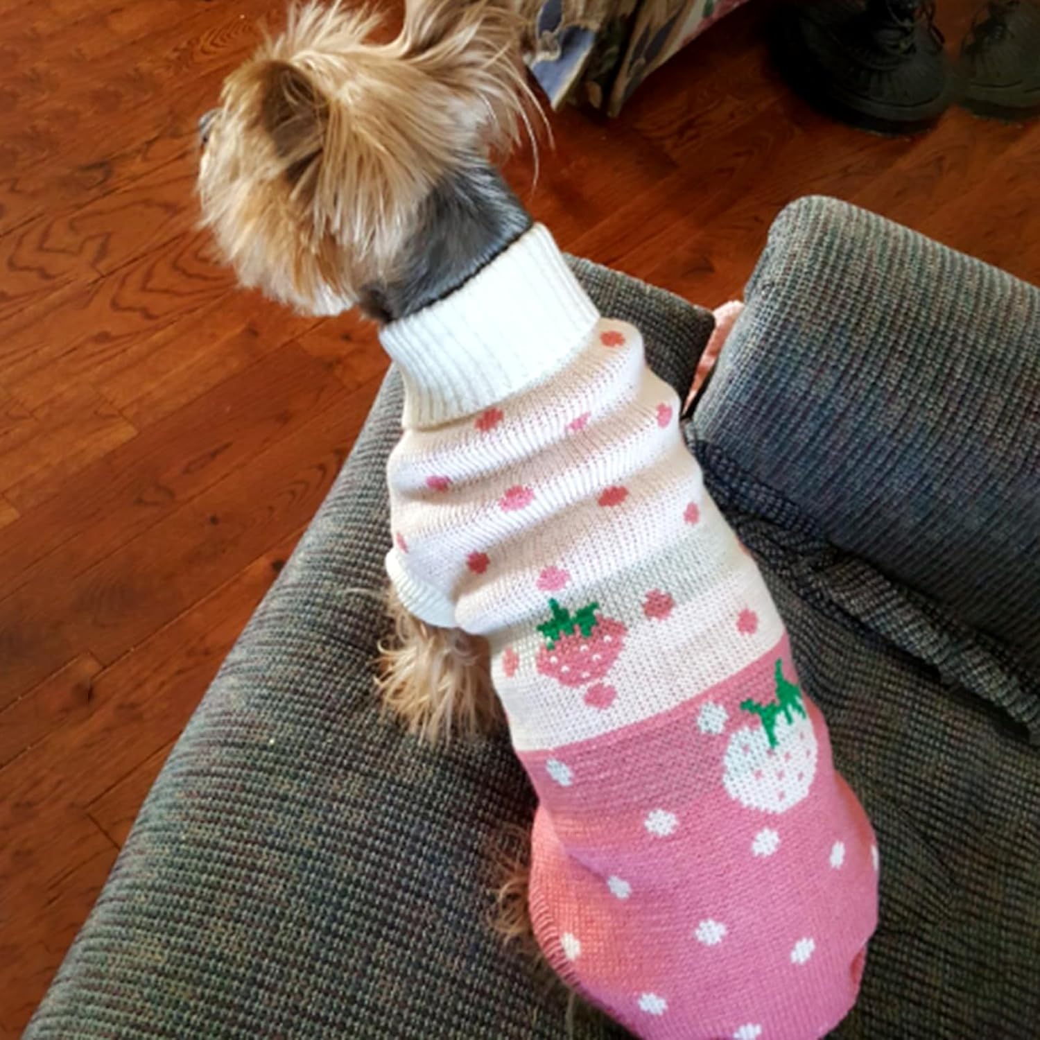 CHBORCHICEN Pet Dog Sweaters Classic Knitwear Turtleneck Winter Warm Puppy Clothing Cute Strawberry and Heart Doggie Sweater (Pink, Medium)