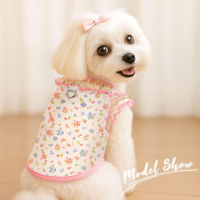 2 Pack Dog Shirt for Small Dogs Breathable Summer Clothes with Ruffled Sleeves Dog Tshirt Stretchy Pet Tee for Puppies Sphynx Cats Kitten Frenchie Dachshund(Pink&Blue,Medium)