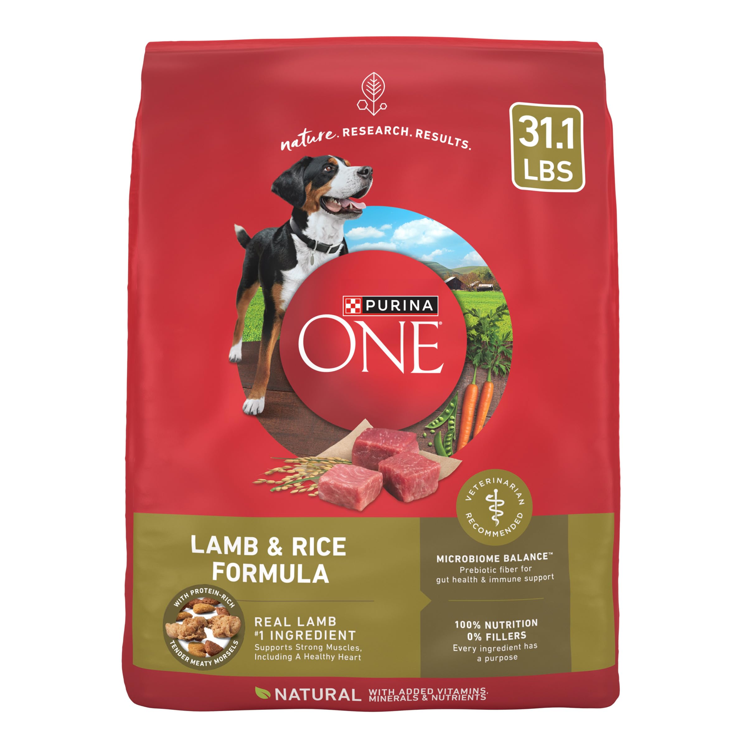 Purina ONE Dry Dog Food Lamb and Rice Formula - 8 lb. Bag