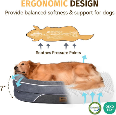 Orthopedic Waterproof Large Dog Bed: Memory Foam Washable Dog Bed with Bolsters - Removable Orthopedic Cover for Medium L XL Large Sized Pet - Non-Slip