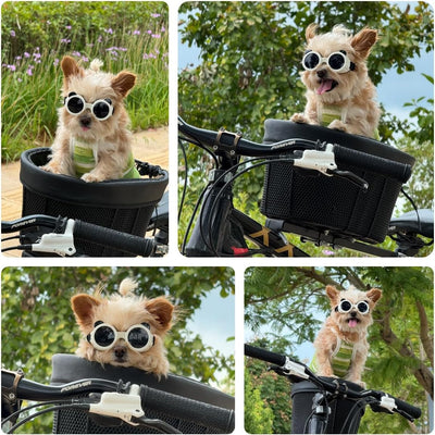 Gafas de sol para perros de raza pequeña, protección contra rayos UV, viento/polvo, para cachorros, con correa ajustable, color blanco