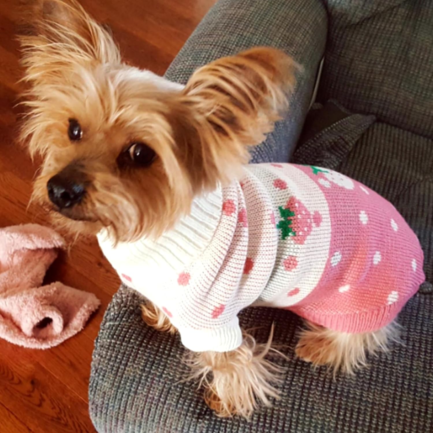 CHBORCHICEN Pet Dog Sweaters Classic Knitwear Turtleneck Winter Warm Puppy Clothing Cute Strawberry and Heart Doggie Sweater (Pink, Medium)