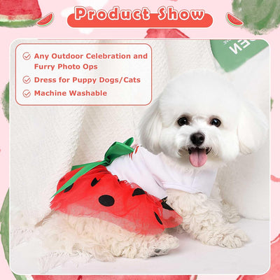 Dog Clothes for Small Dogs Girl, Spring Pet Dress Puppy Princess Tutu Cute Puppy Tulle Dresses Pet Clothes Cat Apparel Chihuahua Yorkshire Outfits (Red Watermelon, XS)