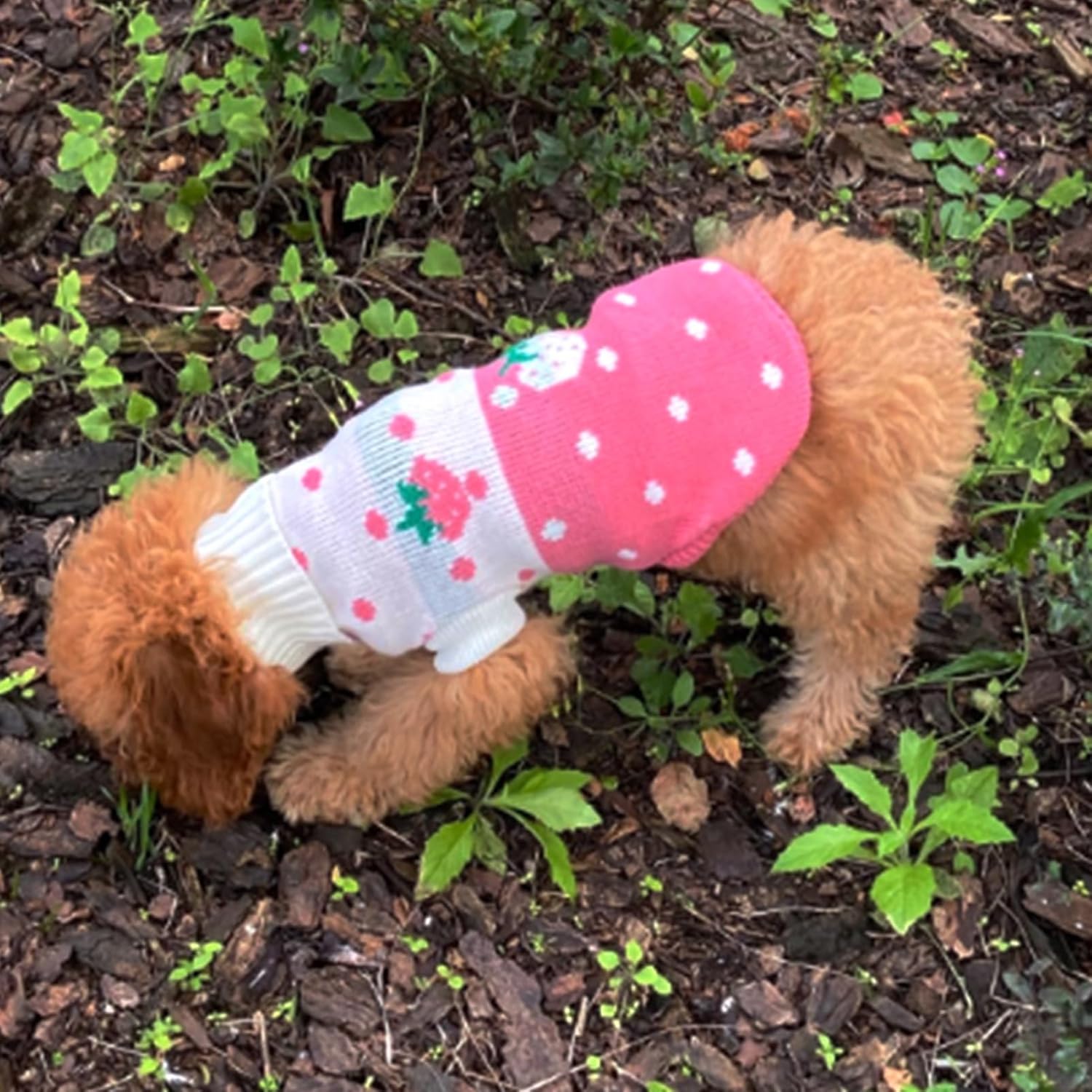 CHBORCHICEN Pet Dog Sweaters Classic Knitwear Turtleneck Winter Warm Puppy Clothing Cute Strawberry and Heart Doggie Sweater (Pink, Medium)