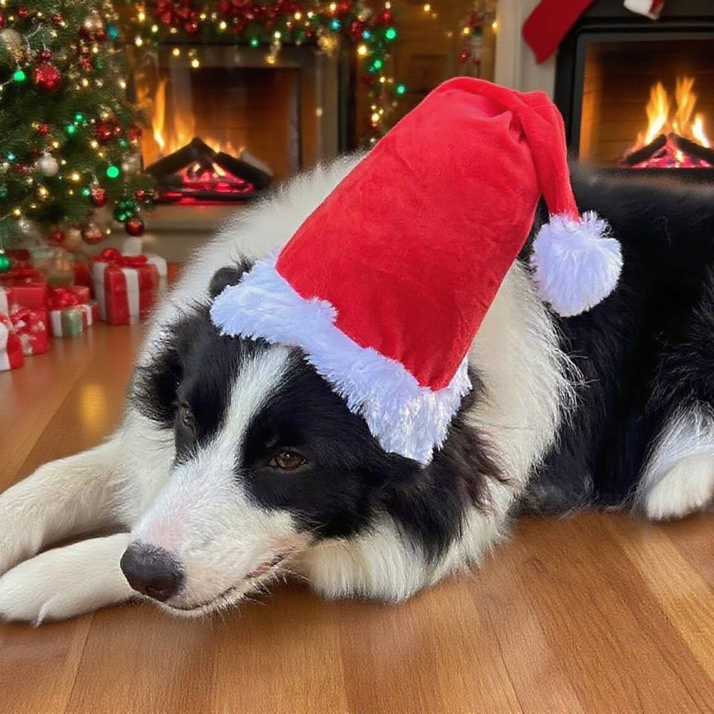 Large Dog Santa Hat with White Pompom,Adjustable XL XXL Pet Dog Christmas Hat Semi-Padded with Elastic Strap,Golden Retriever Great Dane German Shepherd Christmas Costumes (Large)