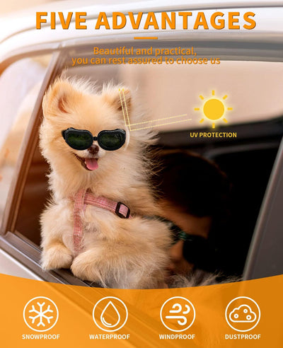 Dog Goggles - Small Breed Dog Sunglasses with UV Protection, Adjustable Strap, Waterproof & Windproof - Black