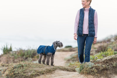 Goldpaw Rain Paw Dog Jacket - Waterproof Pet Coat for All-Weather Protection, Adjustable Fit, and Stylish Canine Outerwear - Navy, Size 10