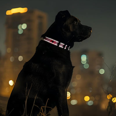 Tpotato Reflective Combination Pattern Girl Dog Collar for Puppy Small Medium Large Breed Dogs,Female Cute Floral Designer Dog Collars,Adjustable Soft Nylon Pet Collar,Quick Release Dog Collar S