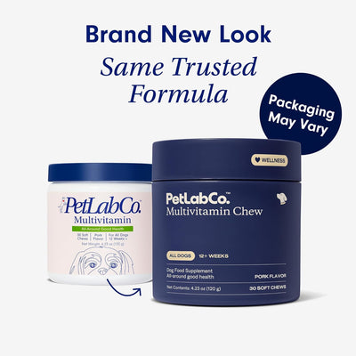 PetLab Co. 22 in 1 Dog Multivitamin - Support Dog's Immune Response, Skin, Coat, Joints & Overall Health - Vitamins A, E, D, B12, Minerals, Antioxidants - Chewable Pork Flavor