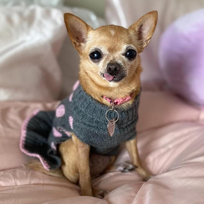 KYEESE Polka Dot Dog Sweater Dress for Girl with Leash Hole Knit Warm Dog Clothes with Pom Pom Ball for Fall Winter