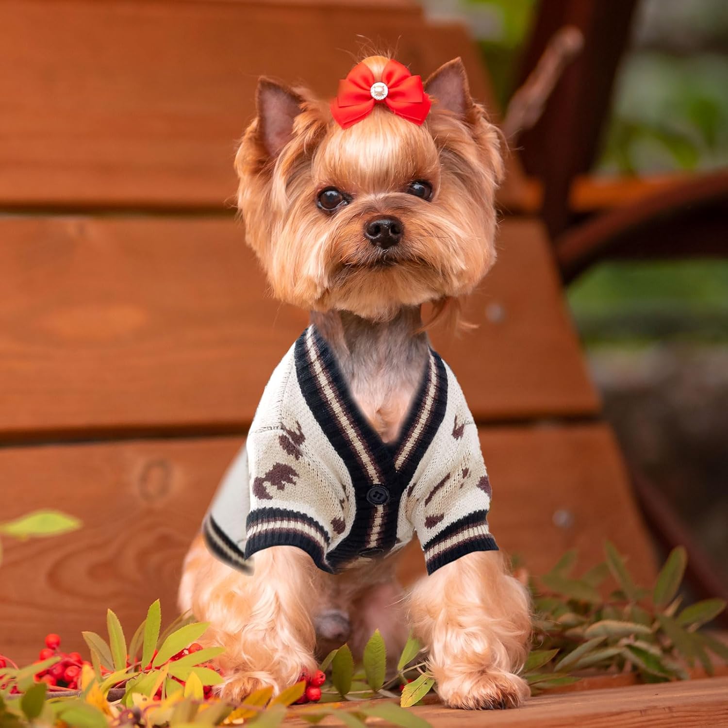 Small Dog Sweaters Cute Bear Dog Cardigans Clothes for Small Medium Dogs Boy Girl Puppy Cat Knitting Cardigan Outfits Dogs Winter Coats Warm Pet Doggy Clothes Soft Knitwear Apparel (Beige,XS)