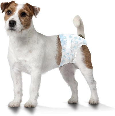 Four Paws Wee-Wee Super Absorbent Disposable Adjustable Dog Potty Training Diapers, Leak-Proof Protection for Puppies and Small Dogs, Small, 36 Count