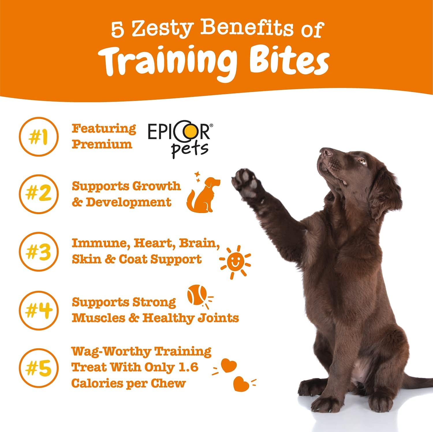Zesty Paws Training Treats for Dogs & Puppies - Dog Treats for Training - Healthy Dog Chews for Hip, Joint & Muscle Health - for All Breeds and Ages - Bacon Flavor - 12oz