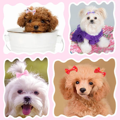 Lazos para el pelo para cachorros, mini bandas de goma para perros pequeños, 60 unidades