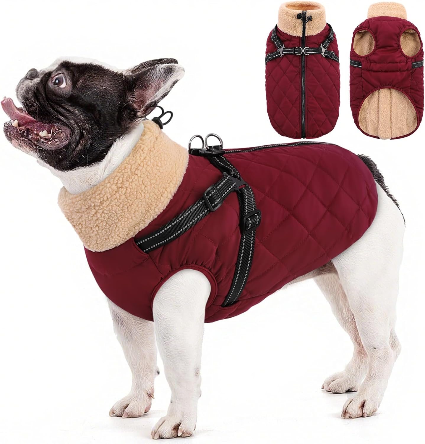 Queenmore Dog Coat, Dog Coats for Small Dogs, Doggy Winter Jacket with Zipper On Back, Waterproof Pet Jacket with Harness Built in, Pet Puffer Coat for Bichon, Schnauzer, Yorkie, Burgundy S